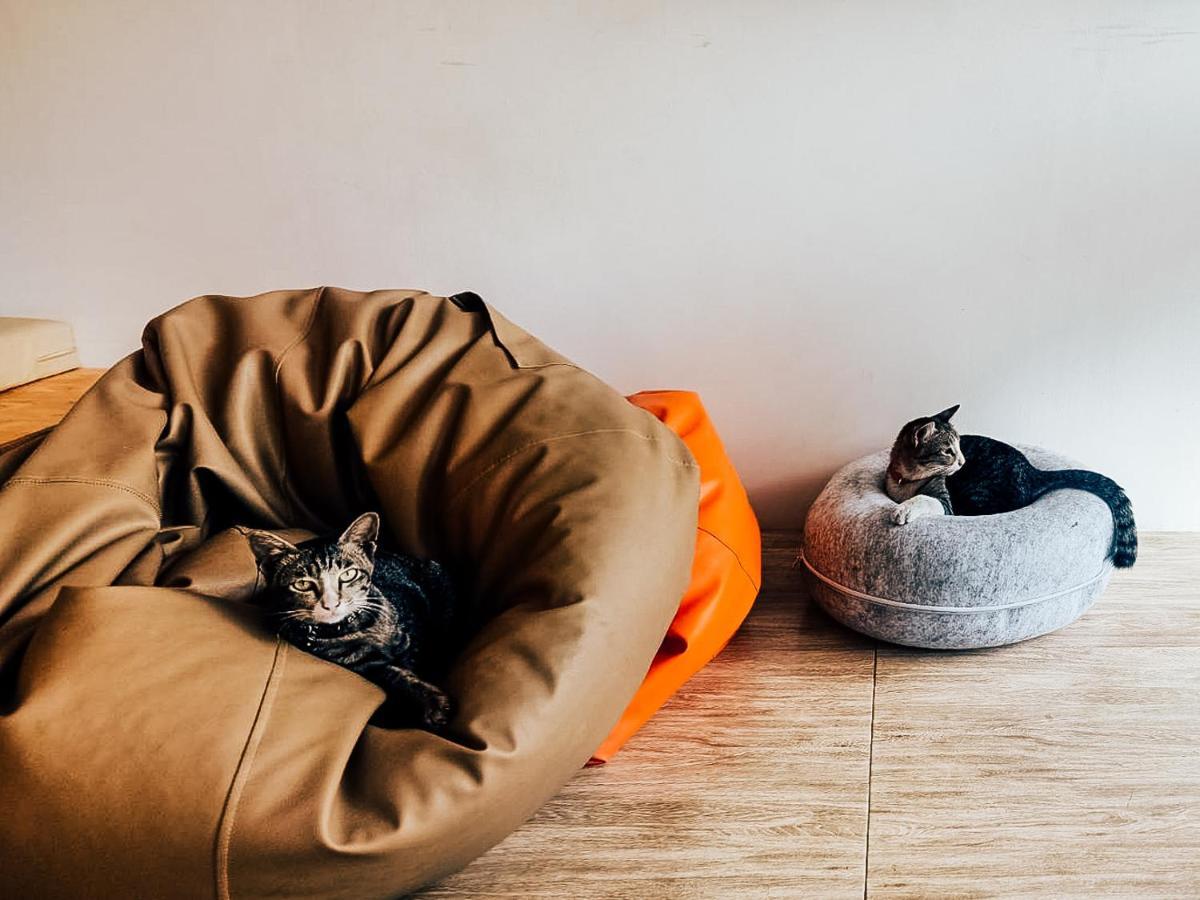 Paknap Hostel Nan Zewnętrze zdjęcie
